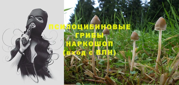 стаф Алексеевка
