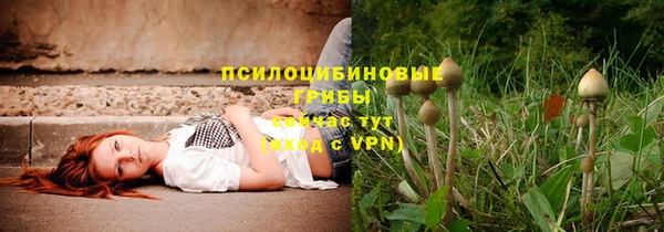 стаф Алексеевка