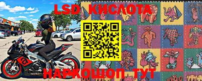 стаф Моздок