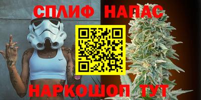 дмт Можга