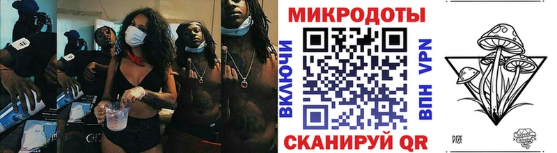 Галлюциногенные грибы Psilocybe  купить наркотик  Полысаево 